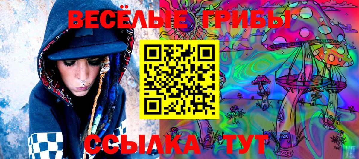 Алексин  Галлюциногенные грибы Cubensis  Вход с VPN  Галлюциногенные грибы GOLDEN TEACHER 