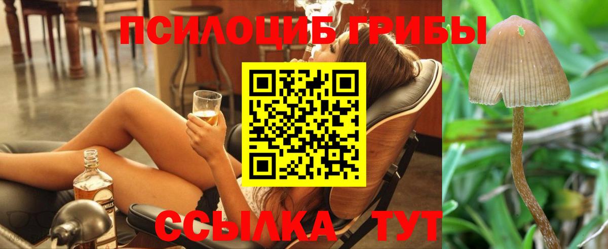 Галлюциногенные грибы Cubensis Алексин